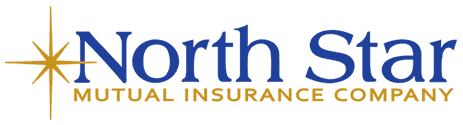 north star mutual insurance